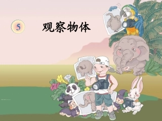 观察物体1 (2)