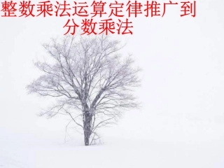 整数乘法运算定律推广到分数乘法