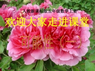 《统计与可能性》PPT课件(1)