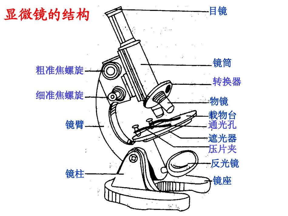 开启生物科学之门--复习课件_第1页
