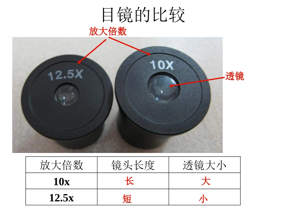 开启生物科学之门--复习课件_第2页