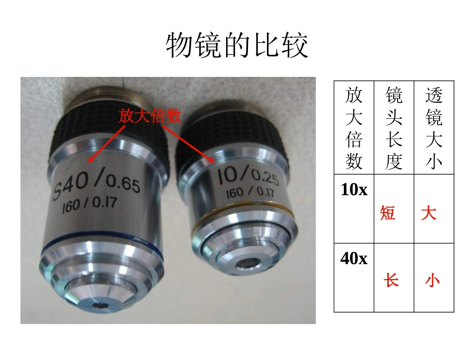 开启生物科学之门--复习课件_第3页