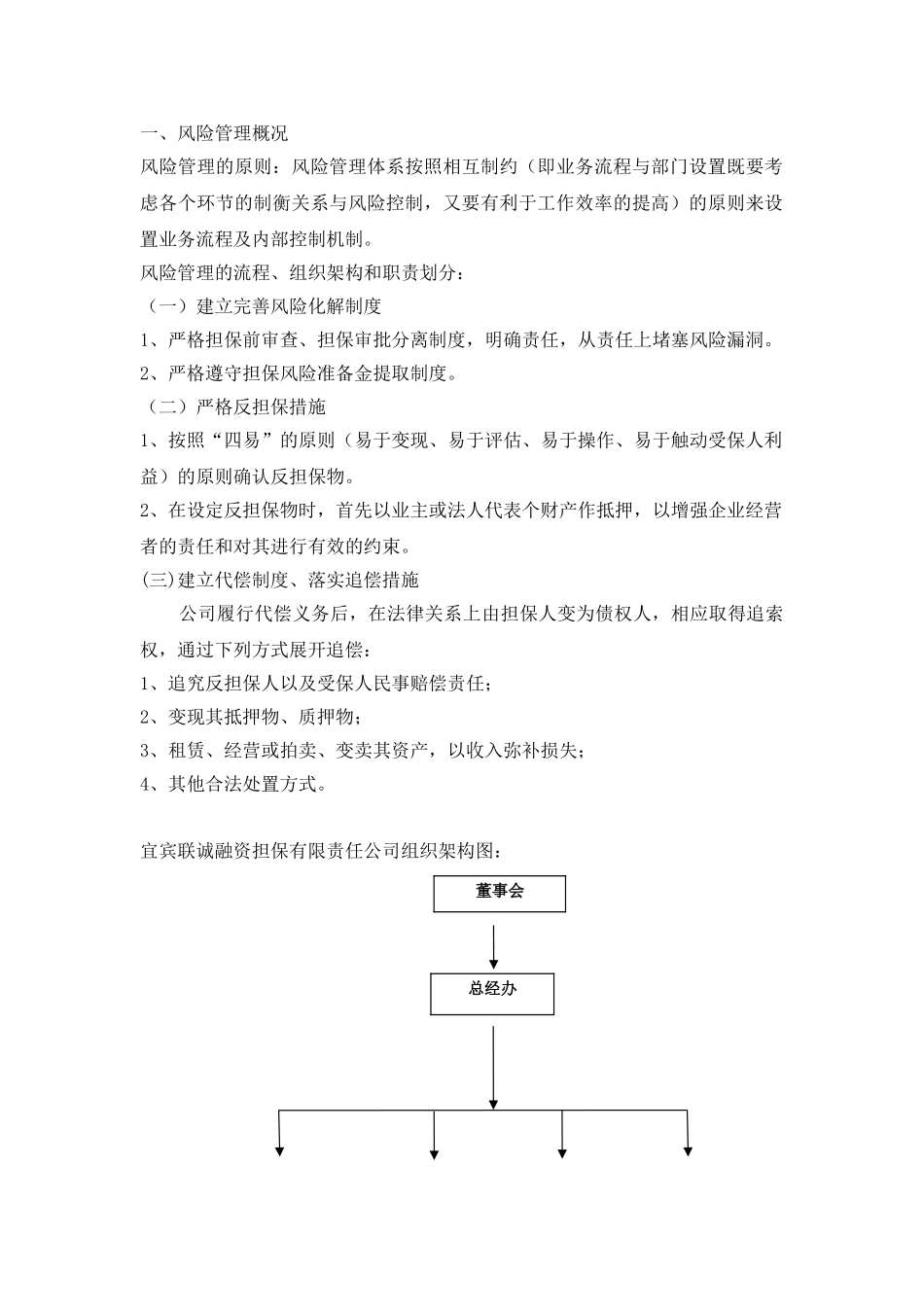 融资担保公司全面风险管理_第1页