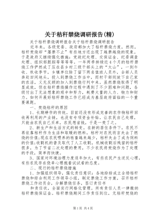 关于秸秆禁烧调研报告(精)