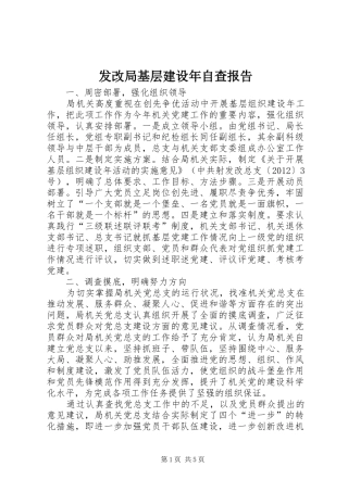 发改局基层建设年自查报告