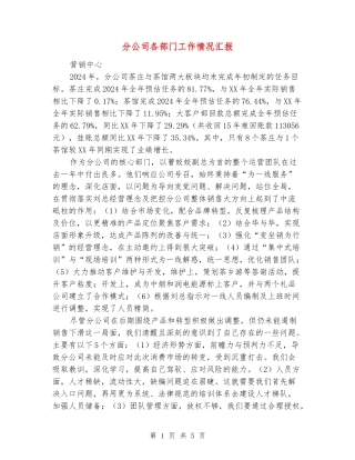 分公司各部门工作情况汇报