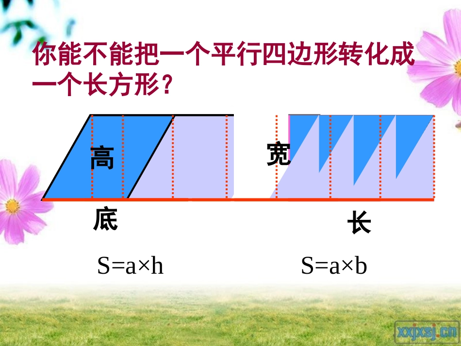 多边形的面积整理和复习_第3页