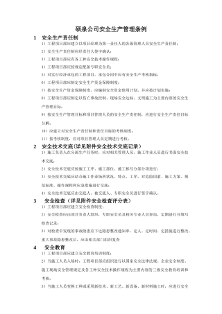 硕泉公司安全生产管理条例