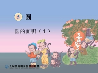 圆的面积（1）