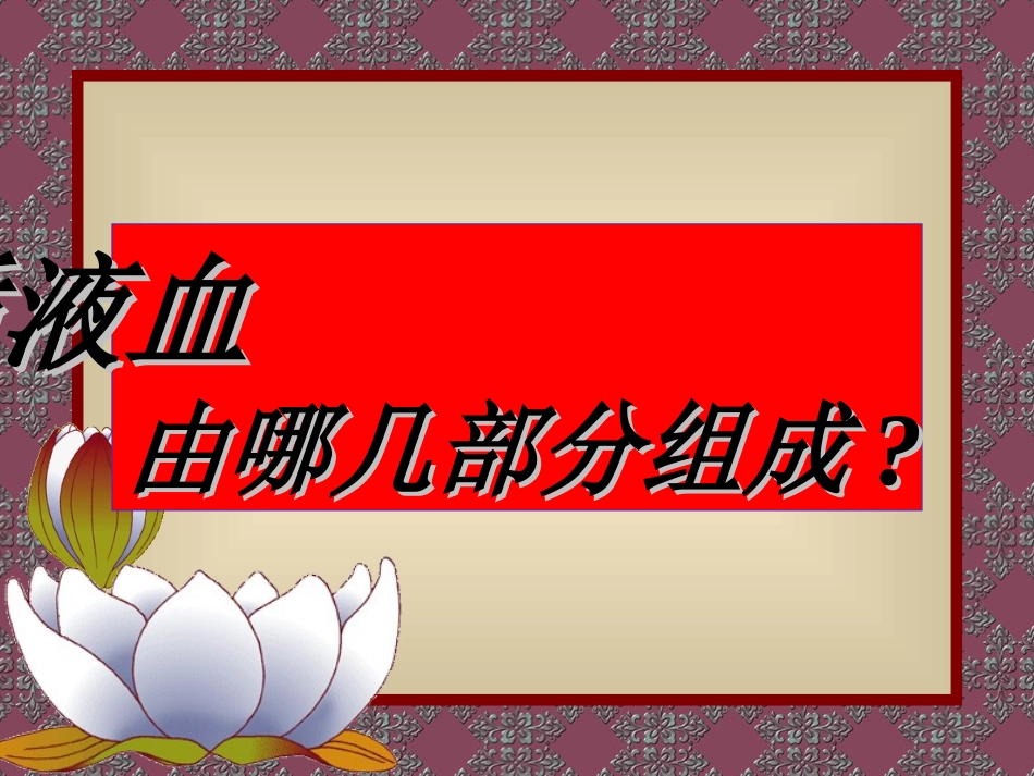 血液循环系统_第2页