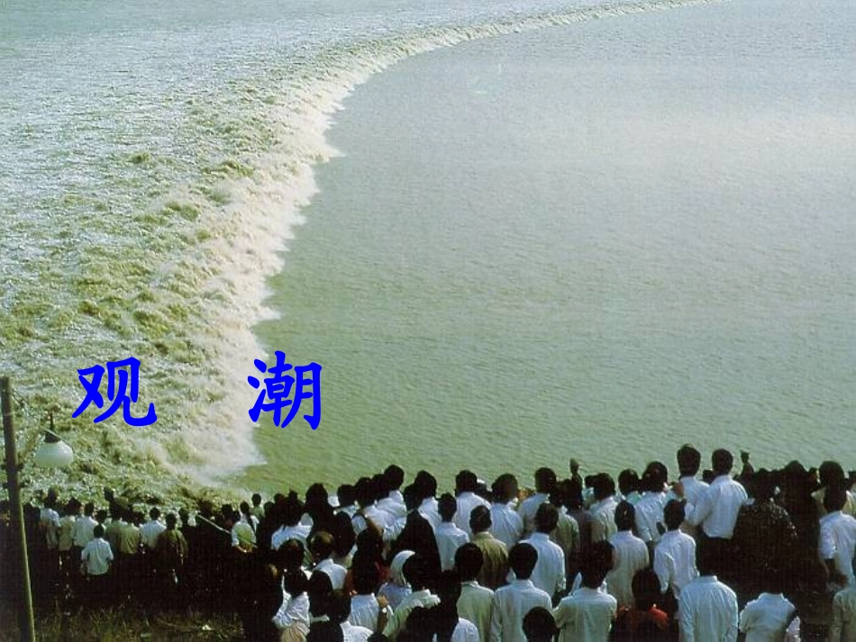 《观潮》课件_第1页