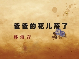 爸爸的花儿落了 (2)