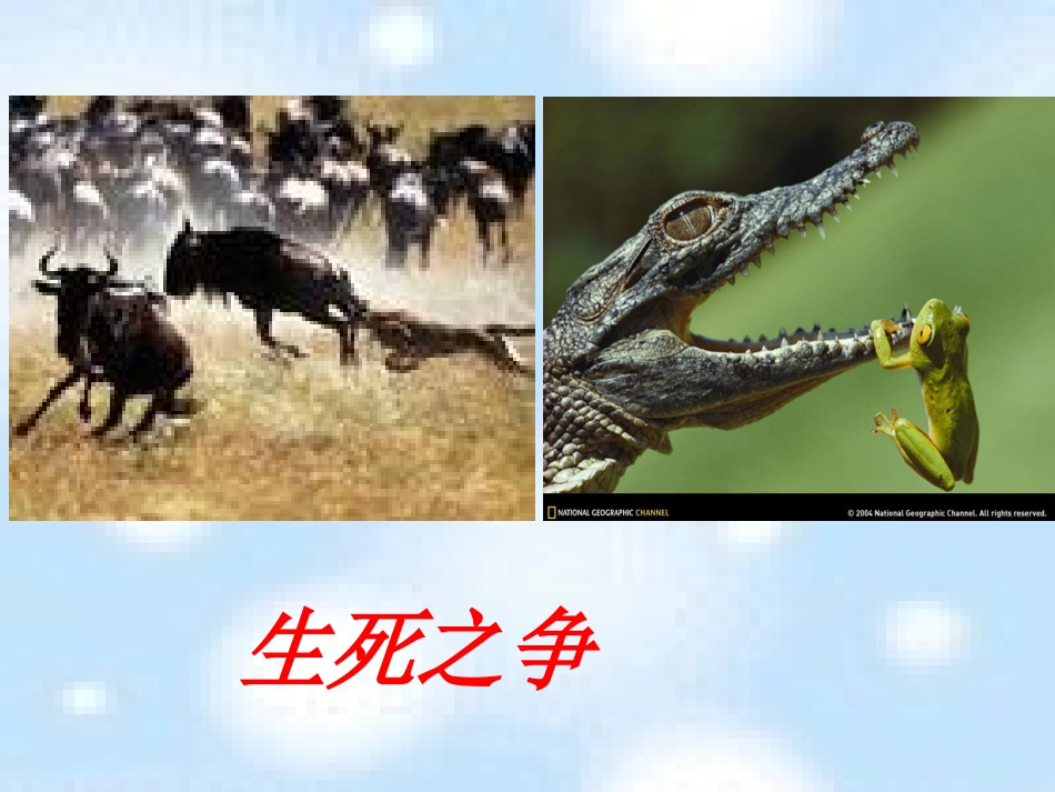 竞争？合作？PPT(2)_第3页