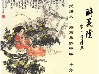 醉花阴vicky新版