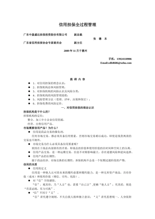 信用担保全过程管理