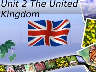 模块五第二单元Reading