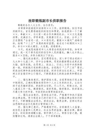挂职锻炼副市长供职报告