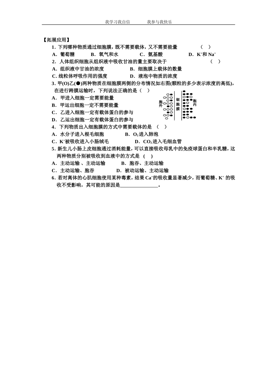 物质跨膜运输的方式学案_第3页