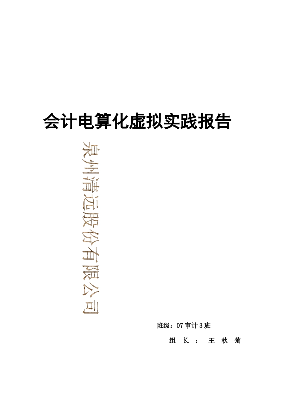 泉州某公司会计电算化虚拟实践报告_第1页