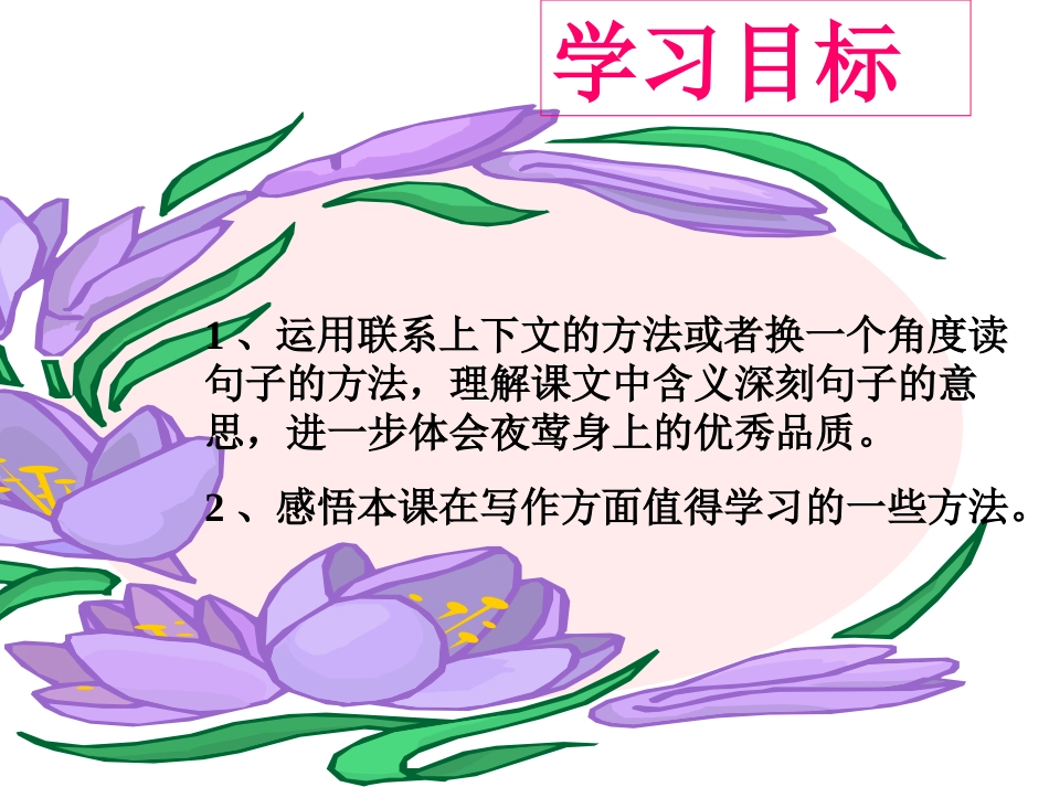 《夜莺的歌声》课件_第2页
