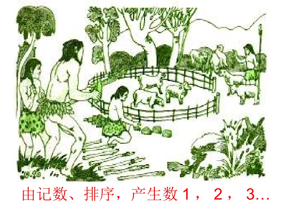 有理数11正数和负数_第3页