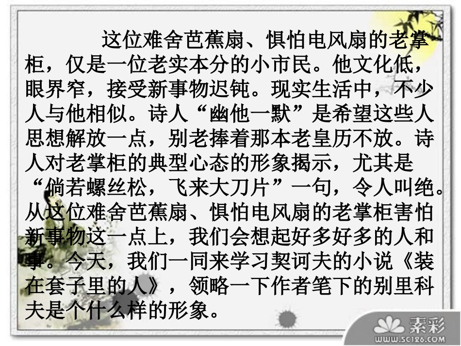 装在套子里的人_第2页