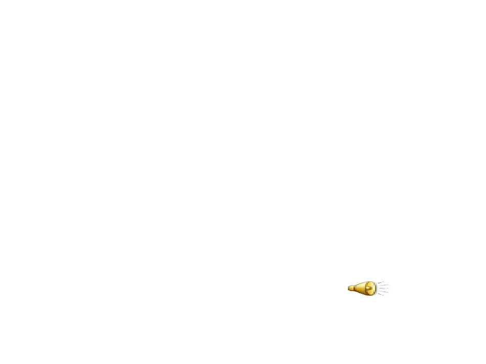 二年级语文上册——口语交际保护有益的小动物_第3页