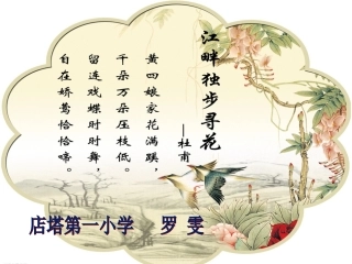 江畔独步寻花