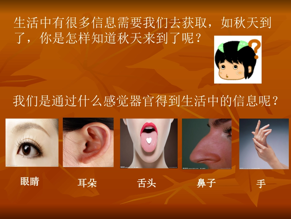 广西科技版信息技术三年级上册——任务二让我们寻找更多的信息_第3页