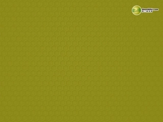 去分母解一元一次方程