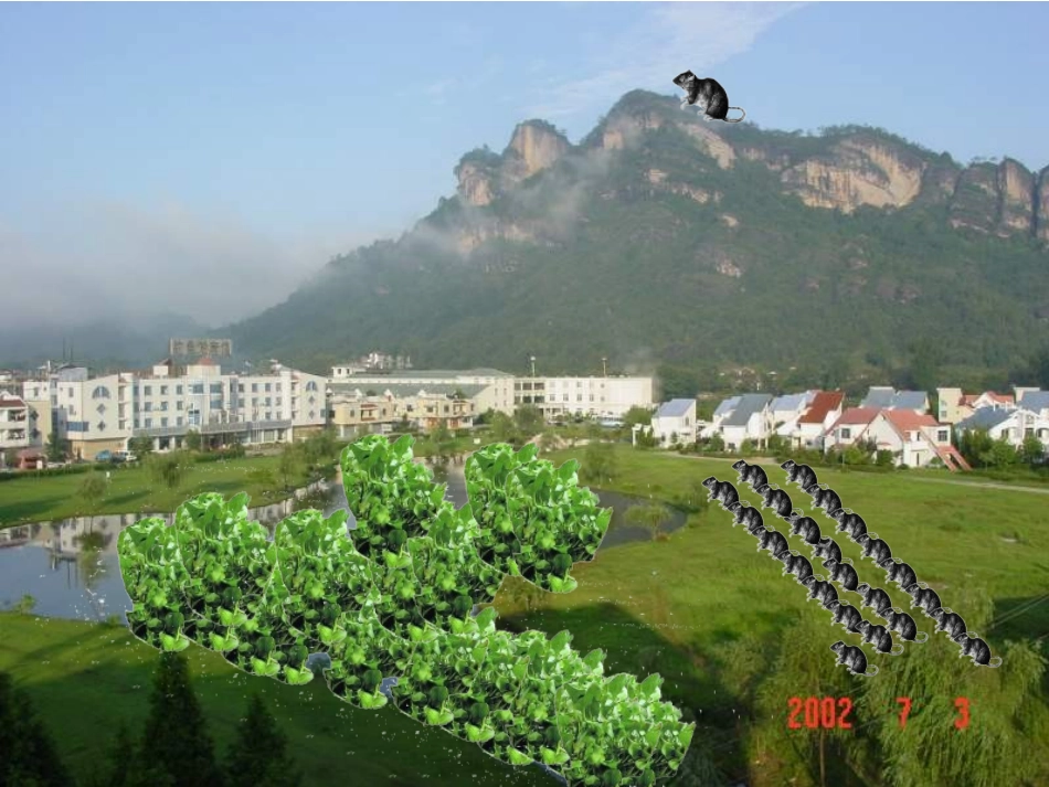 八年级语文生物入侵者1_第2页