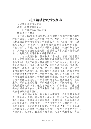 村庄清洁行动情况汇报