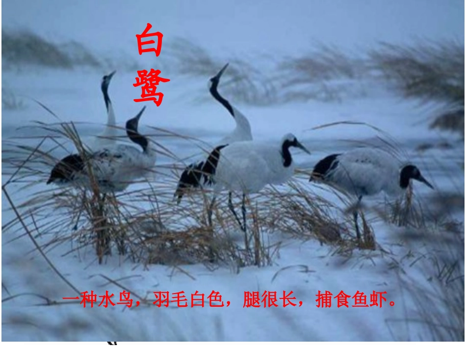 绝句(两个黄鹂鸣翠柳)_第2页