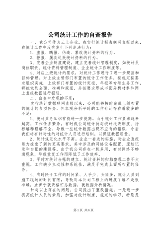 公司统计工作的自查报告