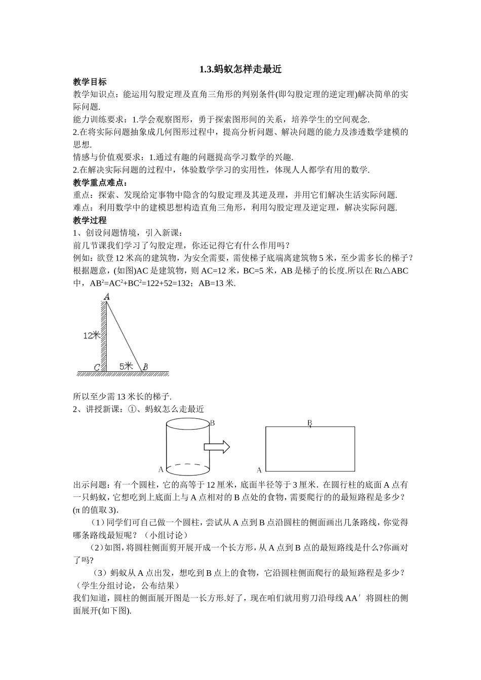 蚂蚁怎样走最近教案_第1页