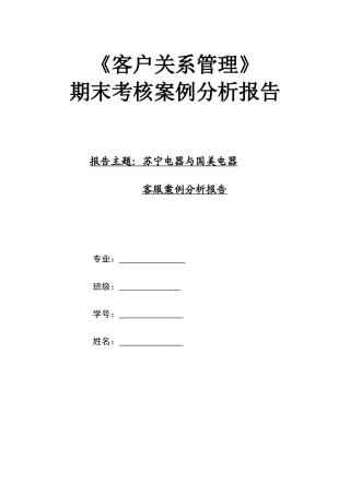 苏宁、国美客服案例分析报告