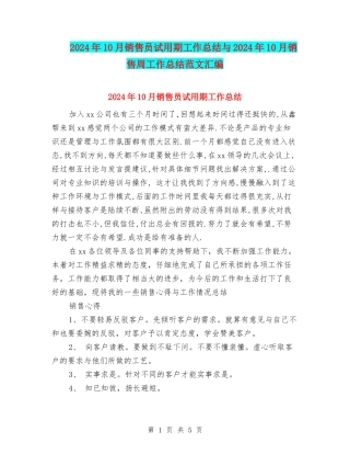 2024年10月销售员试用期工作总结与2024年10月销售周工作总结范文汇编