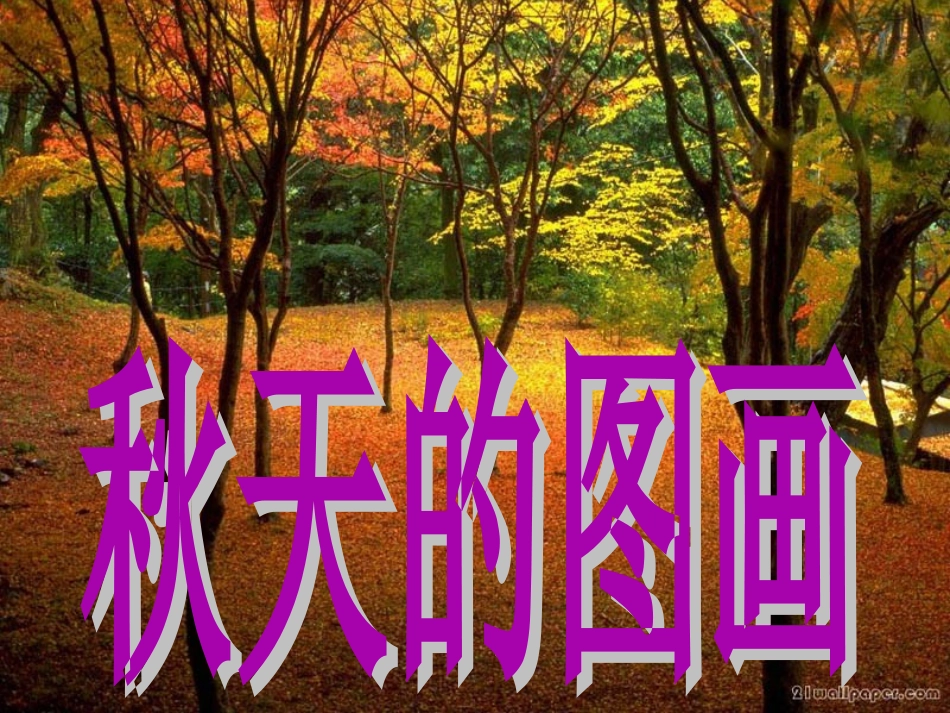 秋天的图画201495_第1页