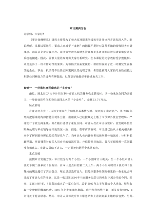 审计案例研究分析