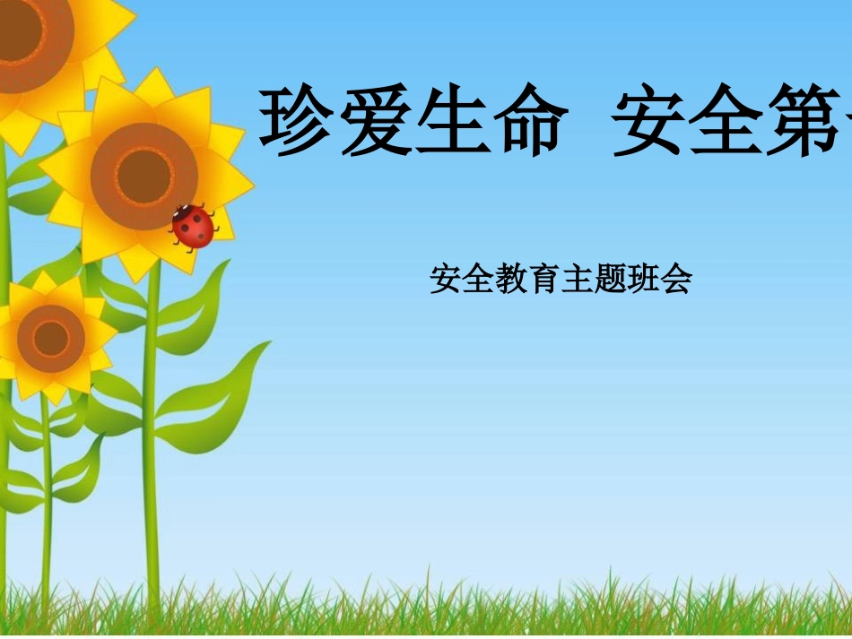 “珍爱生命_安全第一”小学校园安全教育课件(1)_第1页