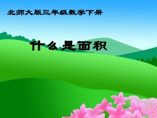 北师大版数学三年级下册《什么是面积》PPT课件之二