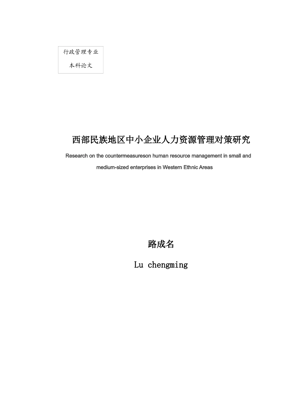 西部民族地区中小企业人力资源管理对策研究_第2页