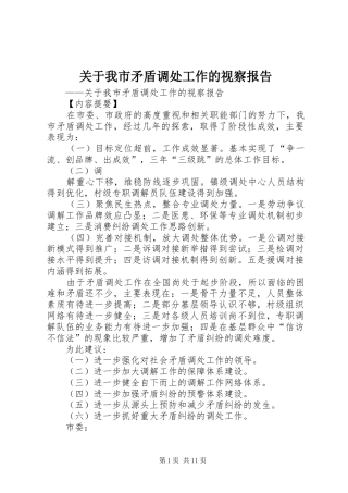 关于我市矛盾调处工作的视察报告