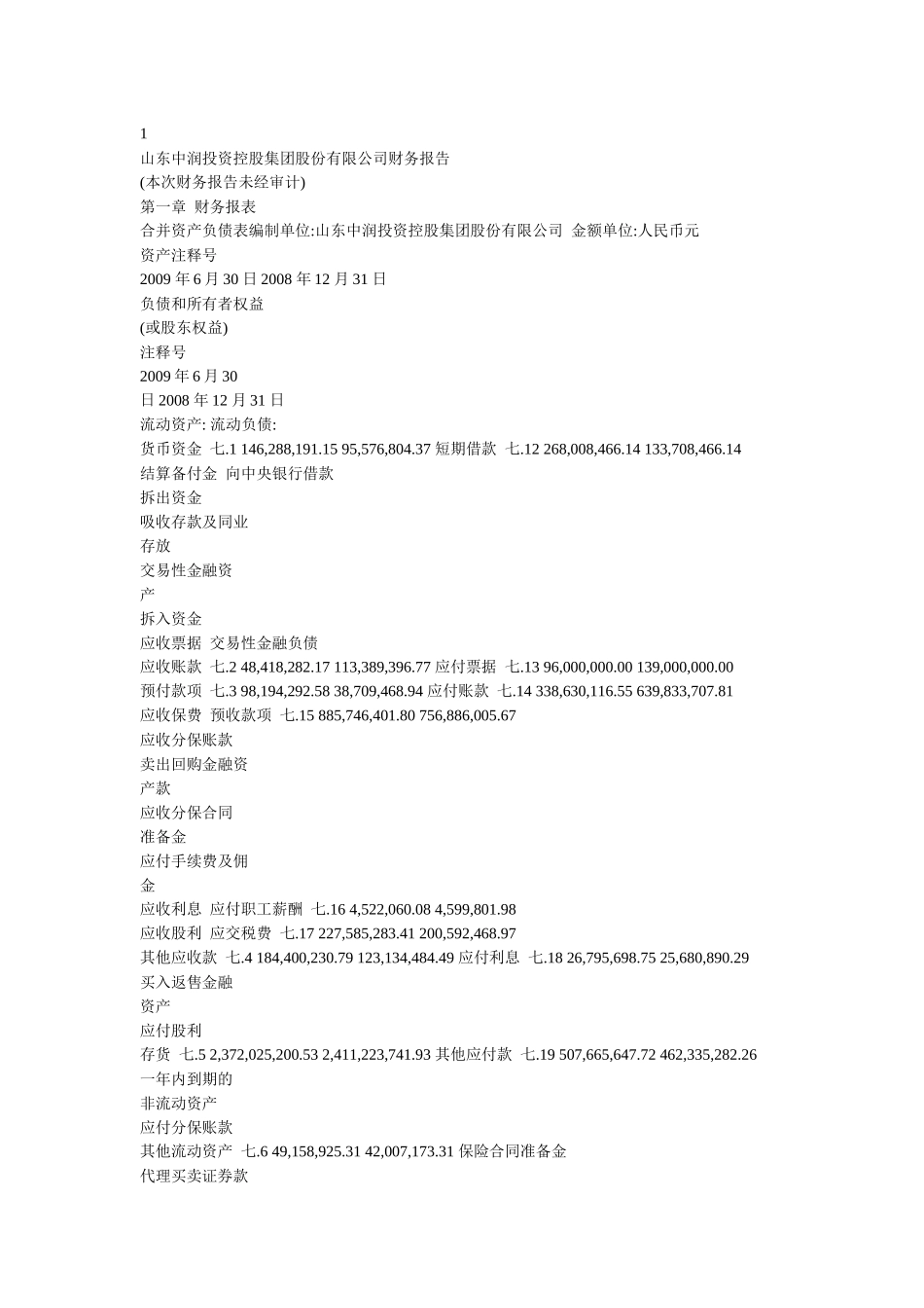 山东中润投资控股集团股份有限公司财务报告_第1页