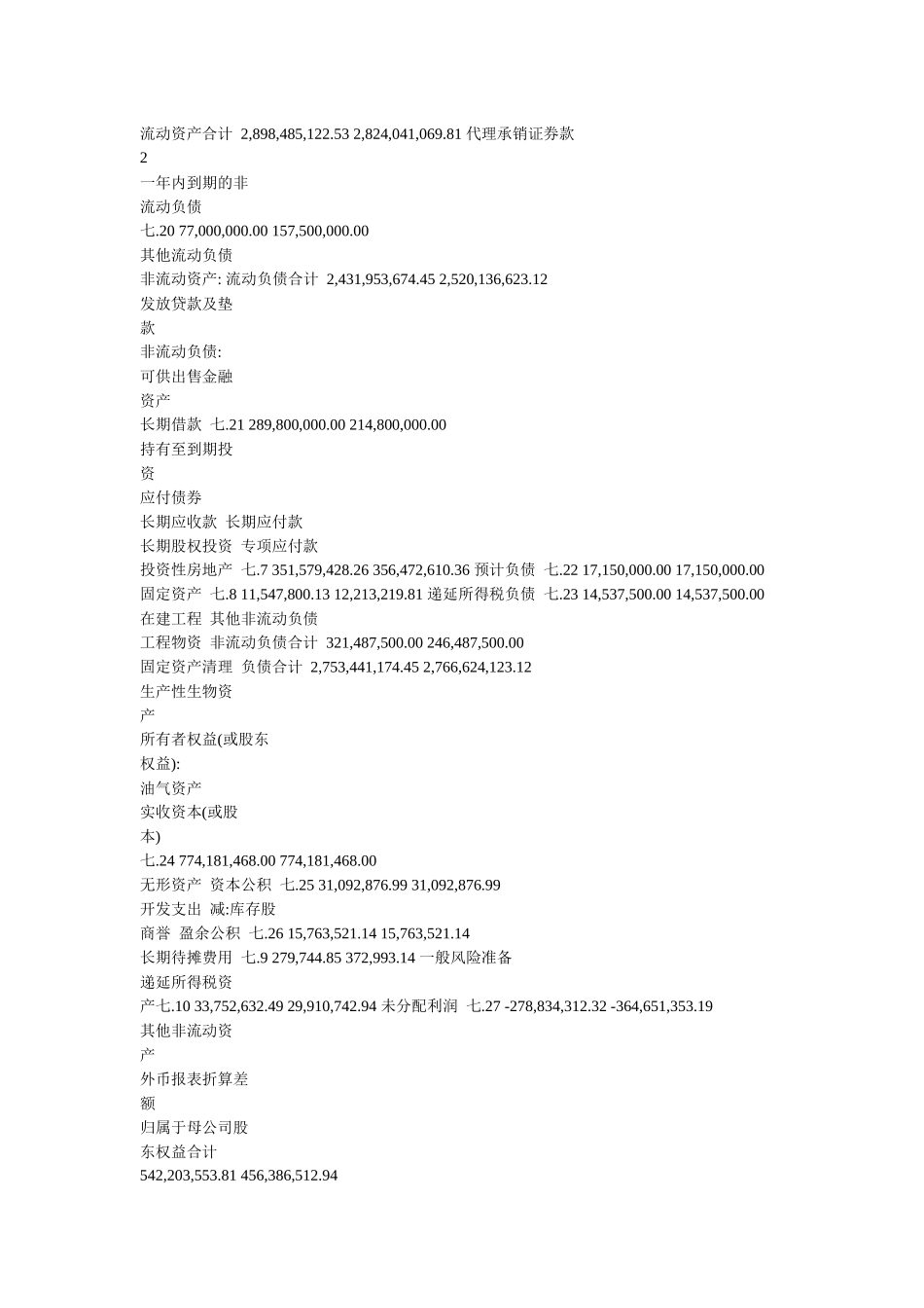 山东中润投资控股集团股份有限公司财务报告_第2页