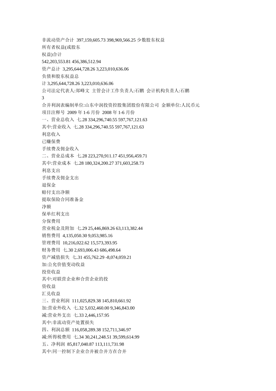 山东中润投资控股集团股份有限公司财务报告_第3页