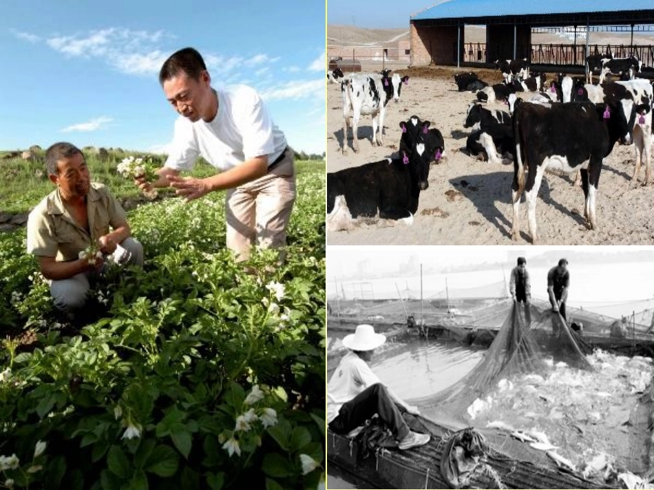 走共同富裕的道路2_第3页