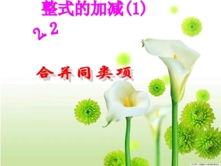 最新人教版七年级上册__22整式的加减1课件