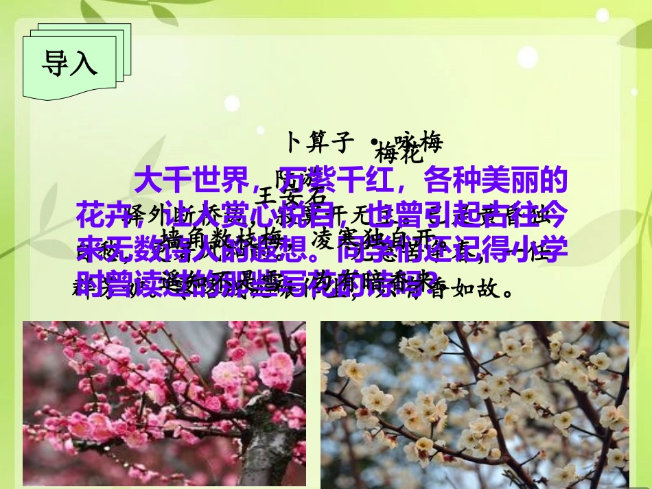 紫藤萝瀑布 (2)_第2页