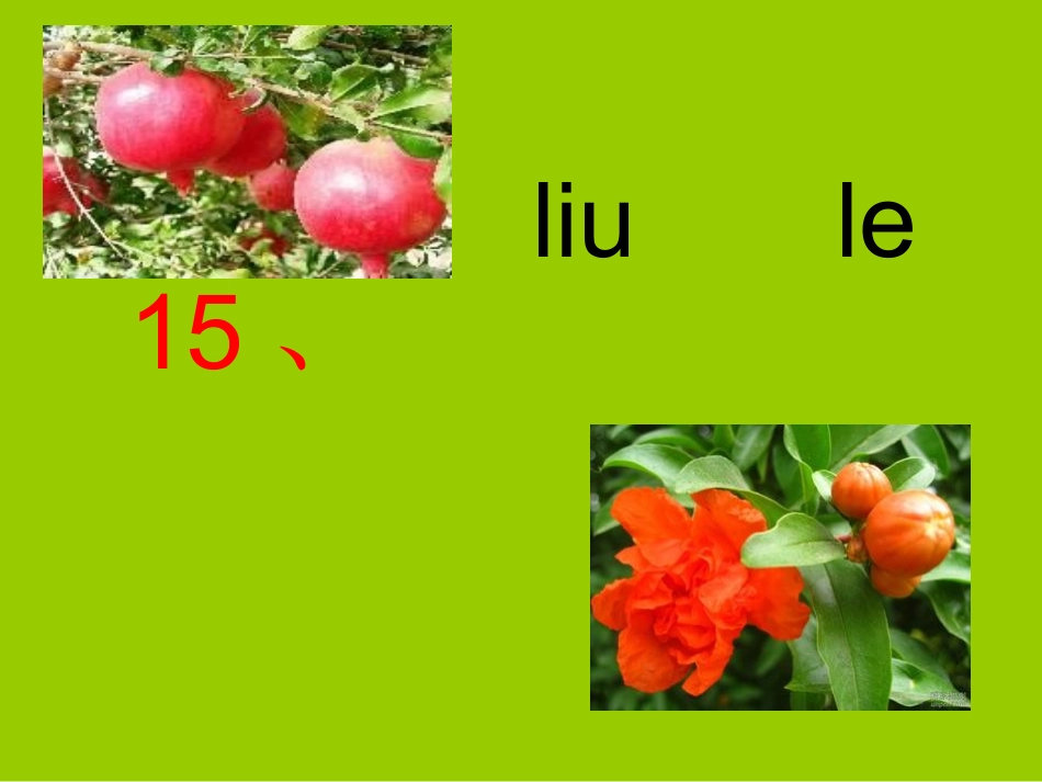 小学一年级上册语文石榴笑了_第1页